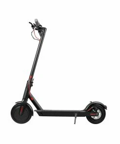 Black Adult - M1 Electric Scooter 350w Motor