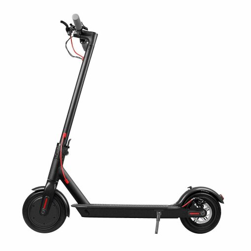 Black Adult - M1 Electric Scooter 350w Motor
