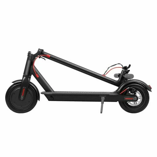 Black Adult - M1 Electric Scooter 350w Motor