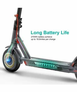 Black Adult - M1 Electric Scooter 350w Motor