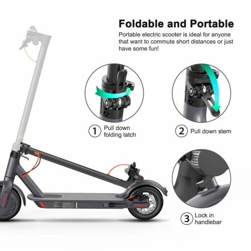 Black Adult - M1 Electric Scooter 350w Motor